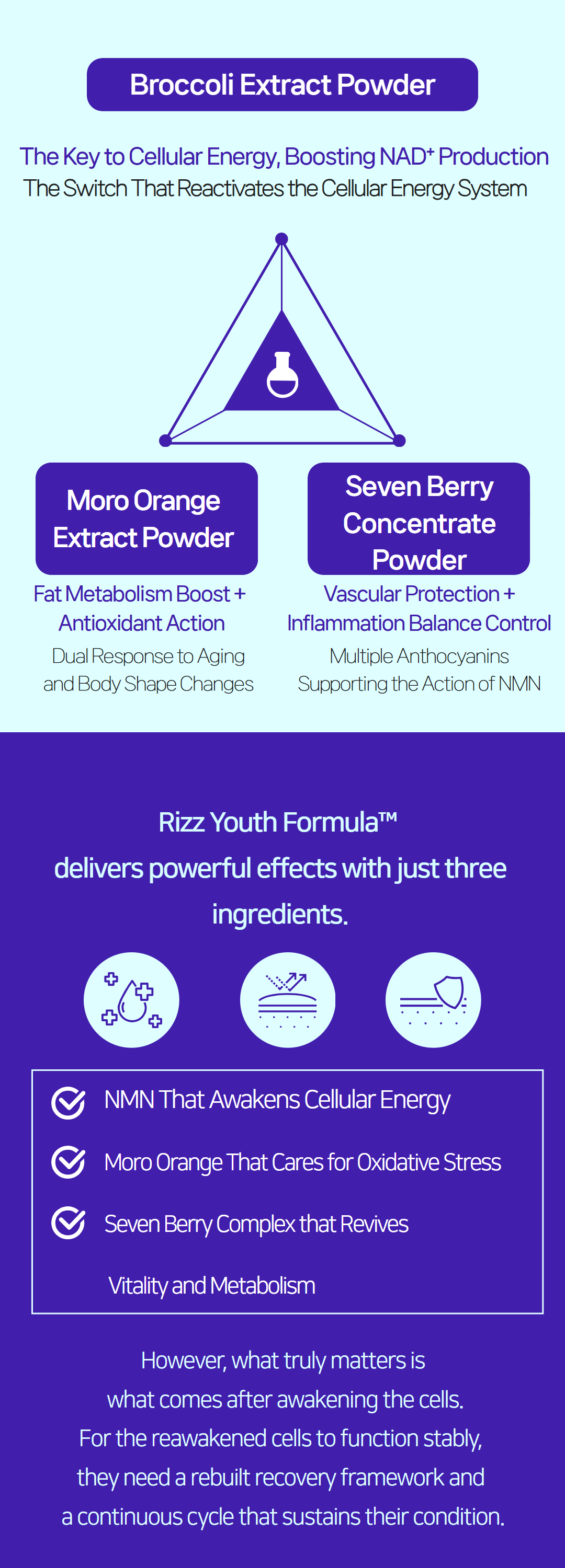 12o’clock – Rizzvibe (NMN & Vitality Blend) | Korean Inner Beauty