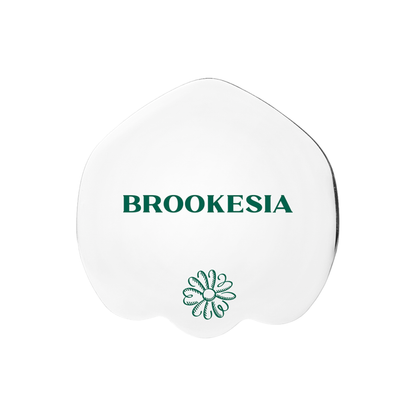 BROOKESIA Signature Spatula – Korean Makeup Tool Australia