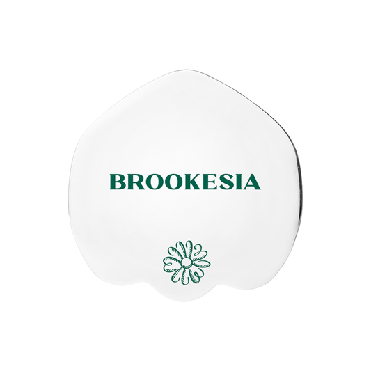 BROOKESIA Signature Spatula – Korean Makeup Tool Australia