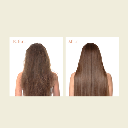 AMINI Mellow Perfume Shampoo Santal Woody (1000ml) | Nourishing & Shine