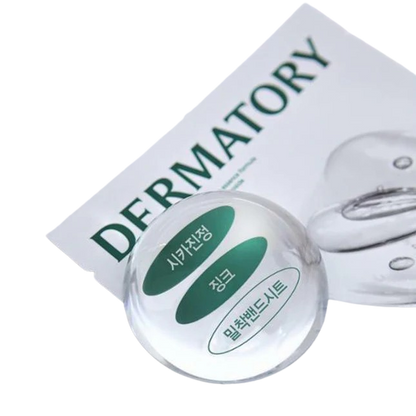 Dermatory Pro Cica Zincderm Band Mask 10ea